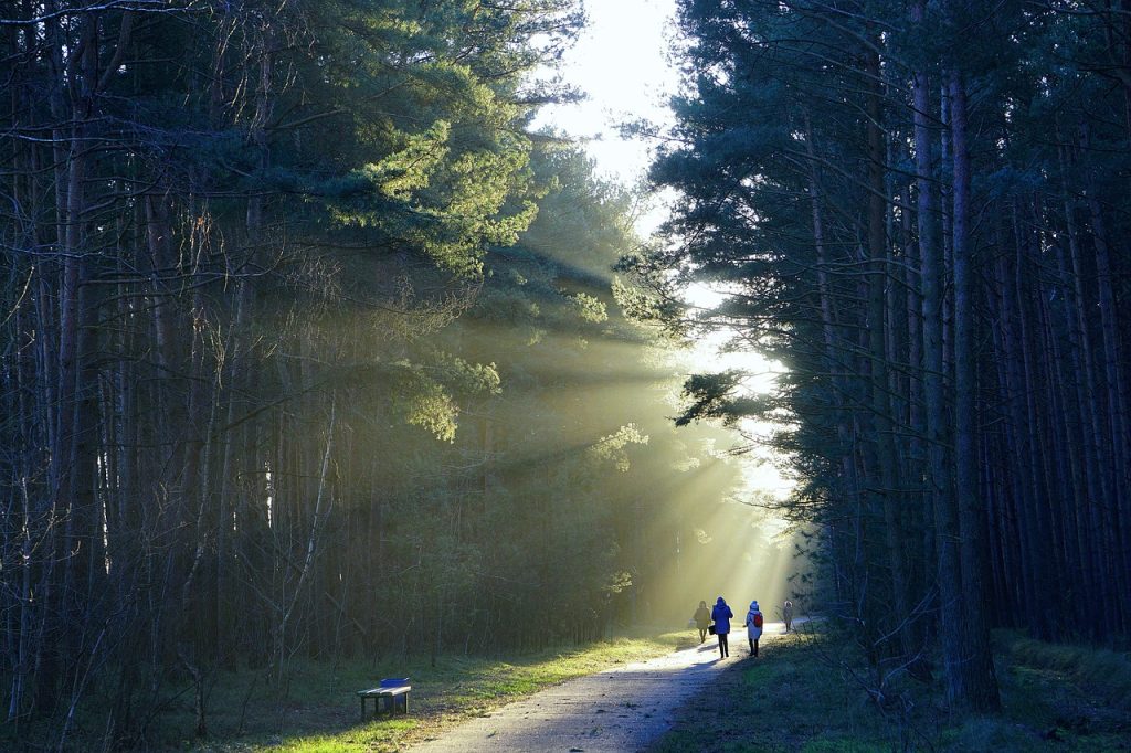 Najlepše destinacije za odmor sa decom u Srbiji