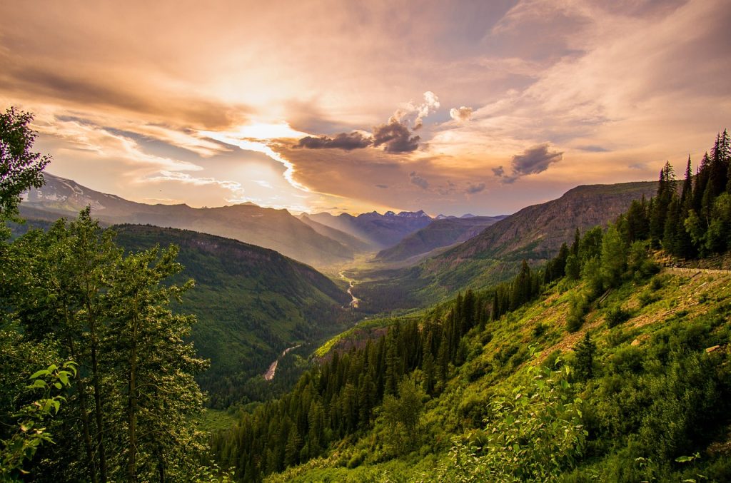 planina, zlatibor, tara, srbija